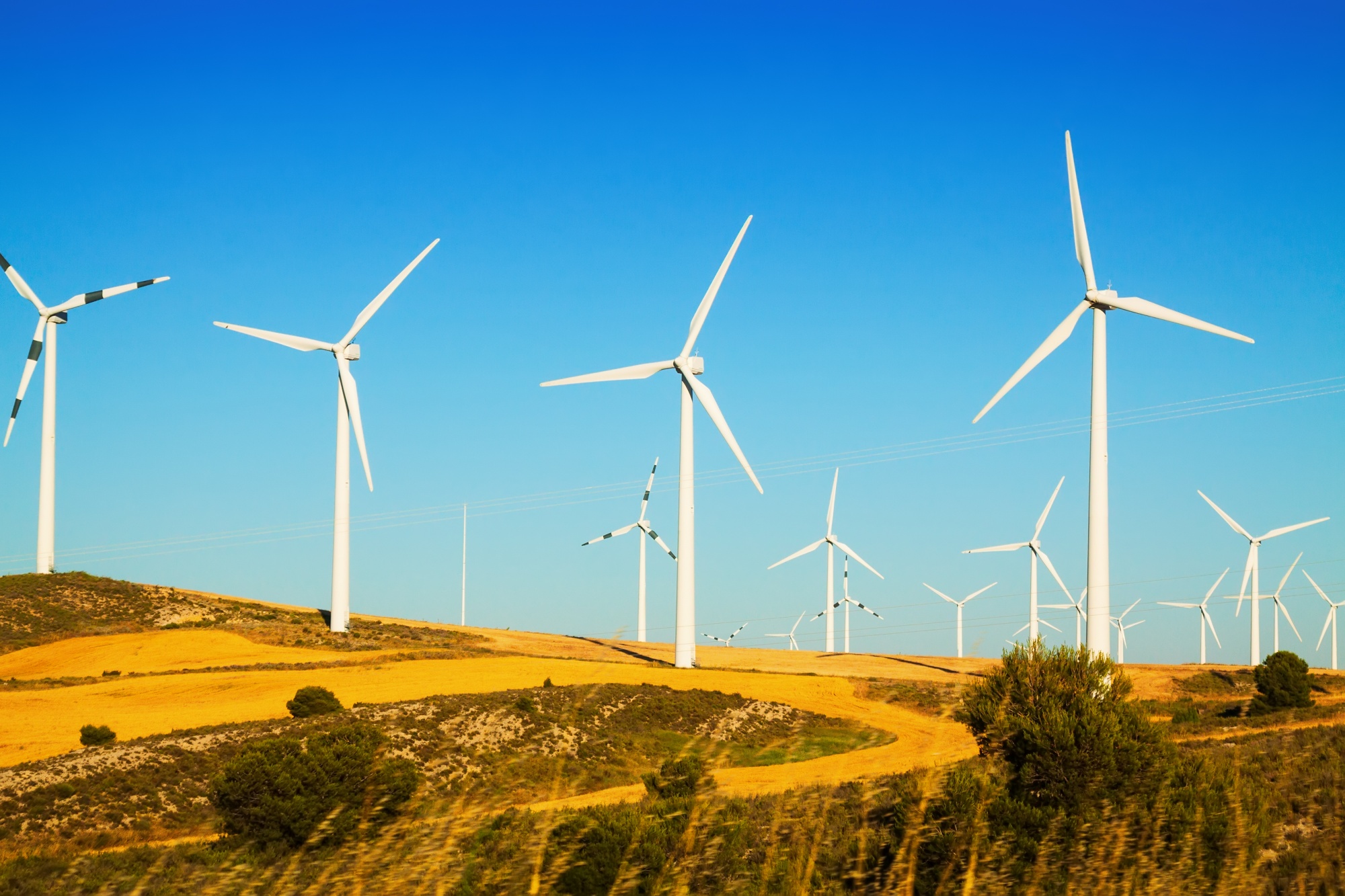 ¿Cuáles son los tipos de energía renovable?