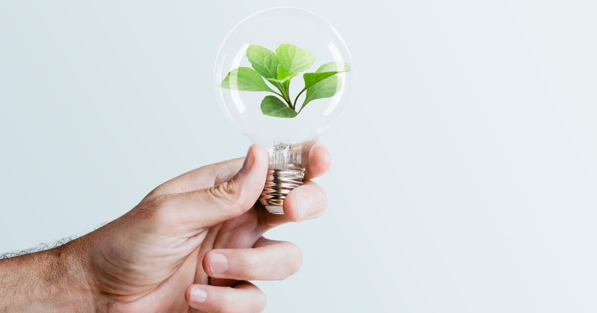¿Para qué sirve la energía renovable?