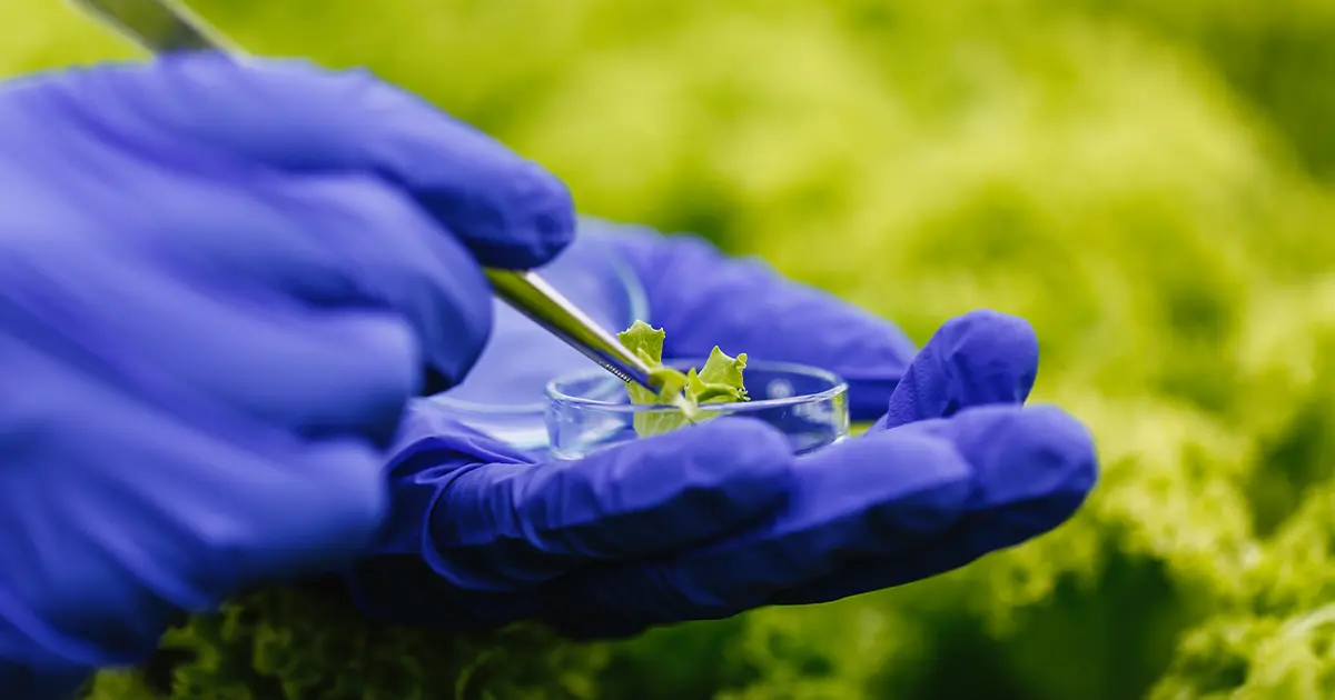 ¿Qué son los activos biológicos?